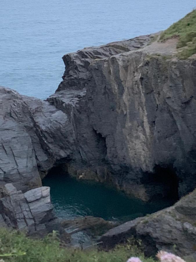 Wild Coastal Retreat At Troed Y Rhiw Aberporth, West Wales Villa Dış mekan fotoğraf