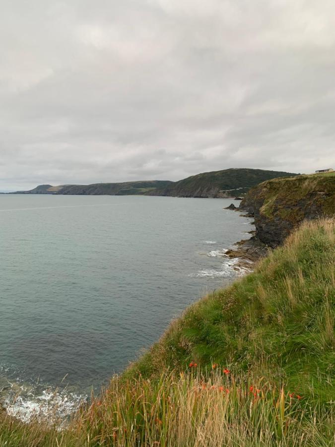 Wild Coastal Retreat At Troed Y Rhiw Aberporth, West Wales Villa Dış mekan fotoğraf