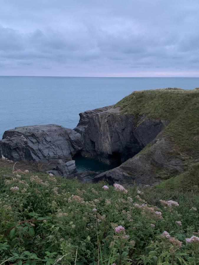Wild Coastal Retreat At Troed Y Rhiw Aberporth, West Wales Villa Dış mekan fotoğraf