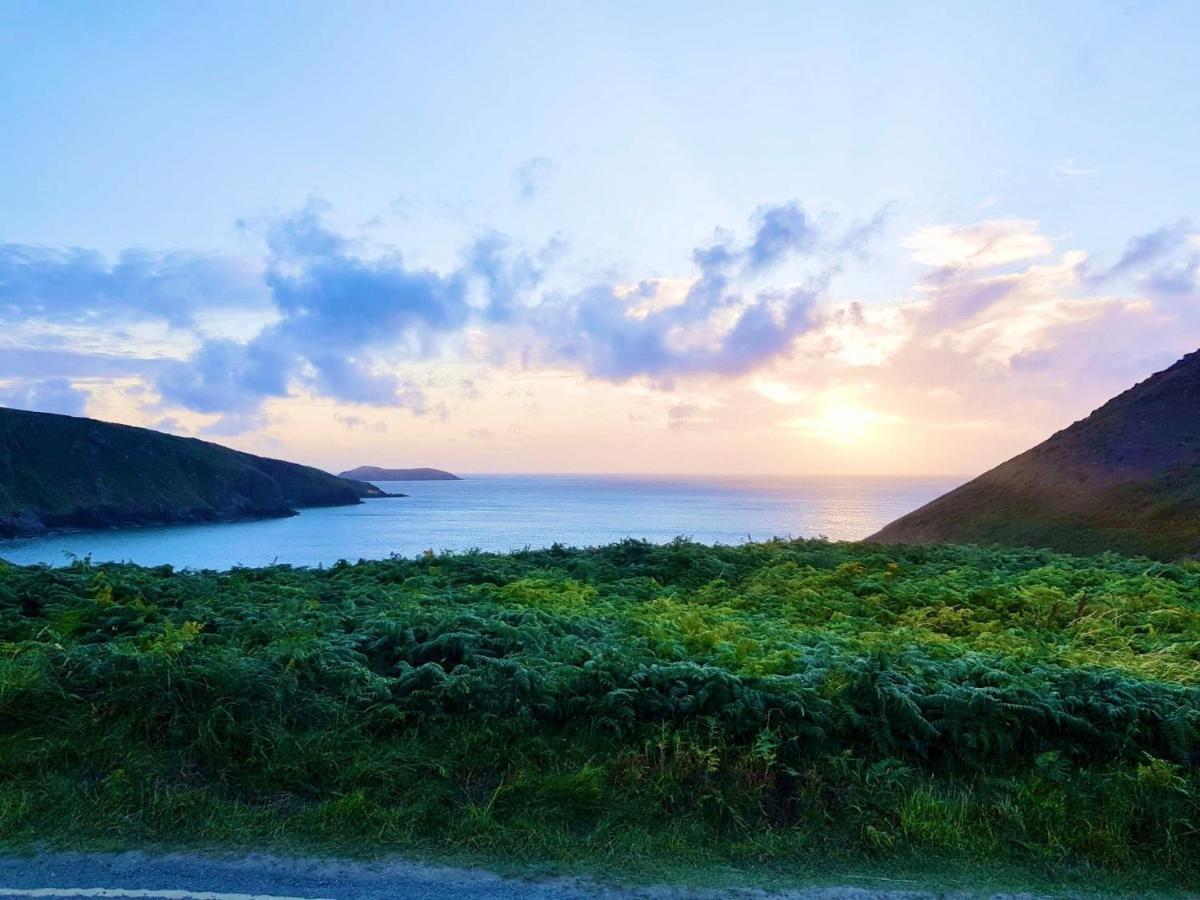 Wild Coastal Retreat At Troed Y Rhiw Aberporth, West Wales Villa Dış mekan fotoğraf